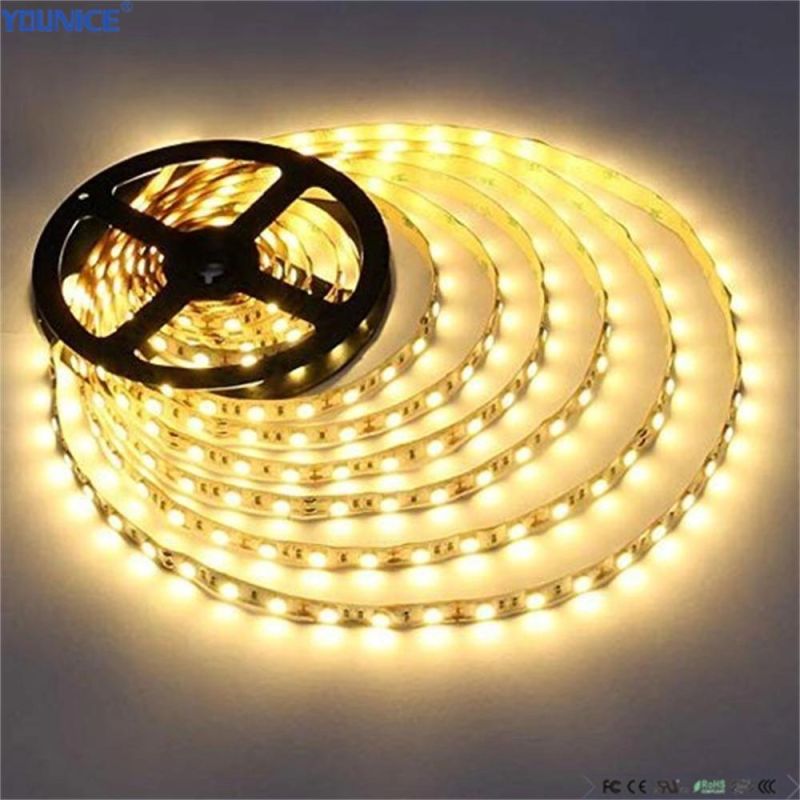 60LEDs/M DC24V 12W High Brightness LED Flexible Tape Light Strip