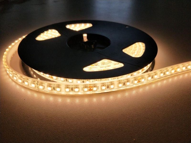 V5 Years Warranty Transparent LED Strip SMD 3528 60 LED/M Warm White LED Strip Light Clear Surface PU Glue IP 68 LED Strip Lighting