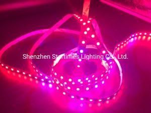 5 Years Warranty LED Addressable Digital Flexible LED Strip Light Christmas Light RGB LED Disco Lighting Wedding Decoration Light