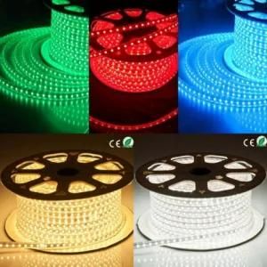 Fcatory Direct Sale 5050 LED Strip Light Single Color