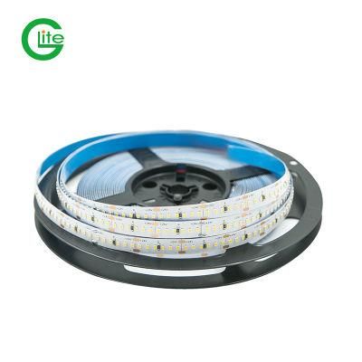 Perfect LED CRI95 SMD 2216 LED Light Strip 240 LEDs Strip Per Meter