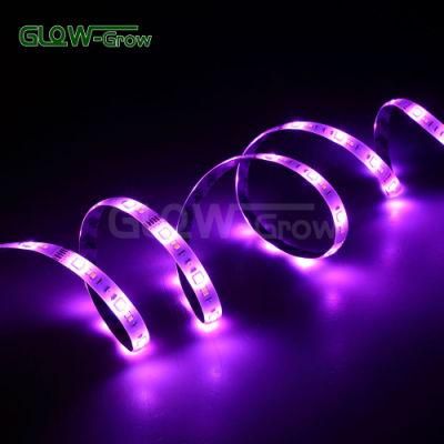 5050 LED Room Decor RGB CCT Strip Light with UL Listed