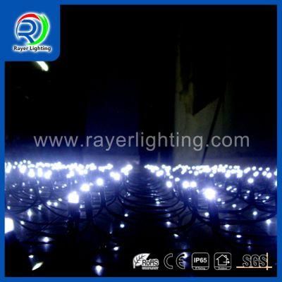 LED Party Wedding Decoration Lights Christmas Products LED Net Light