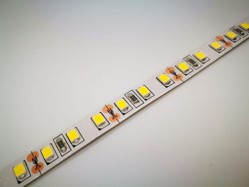 12V Single Color SMD2835 Flexible LED Strip Lamp Lm-80 TUV