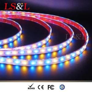 IP20 IP33 IP54 IP68 Waterproof RGB+Amber LED Soft Strips Light for City Decorative Lighting