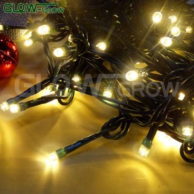 Outdoor IP65 10m 80 LEDs Warm White Twinkle Fairy String Light Event Home Party Ramadan Christmas Wedding Decoration