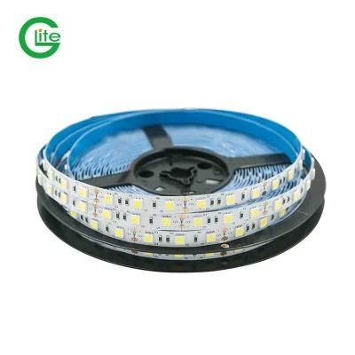 Ultra Bright SMD5050 60LED LED Strip DC24V Cool White LED Strip Lamp