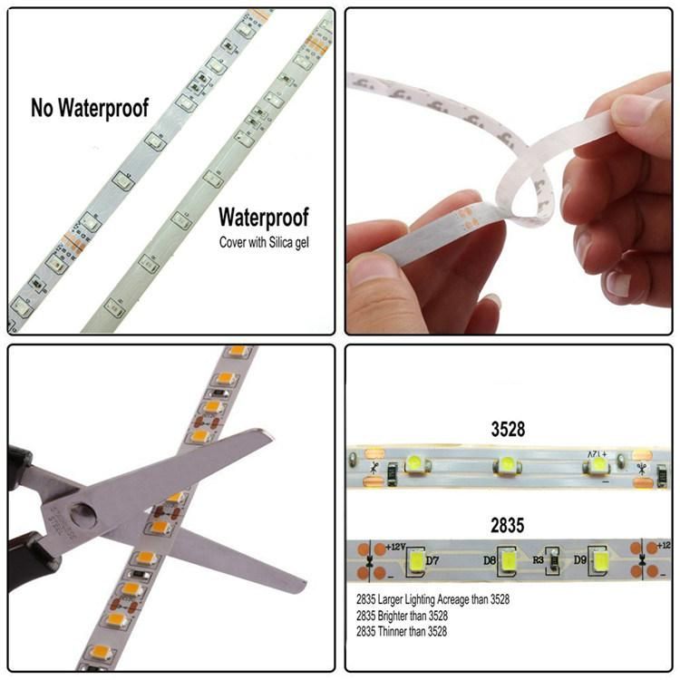 RGB LED Streifen SMD 2835 5050 LED Strip Light 5m 10m 30m/Roll 300 LEDs DC12V 24V Ribbon Tape Light