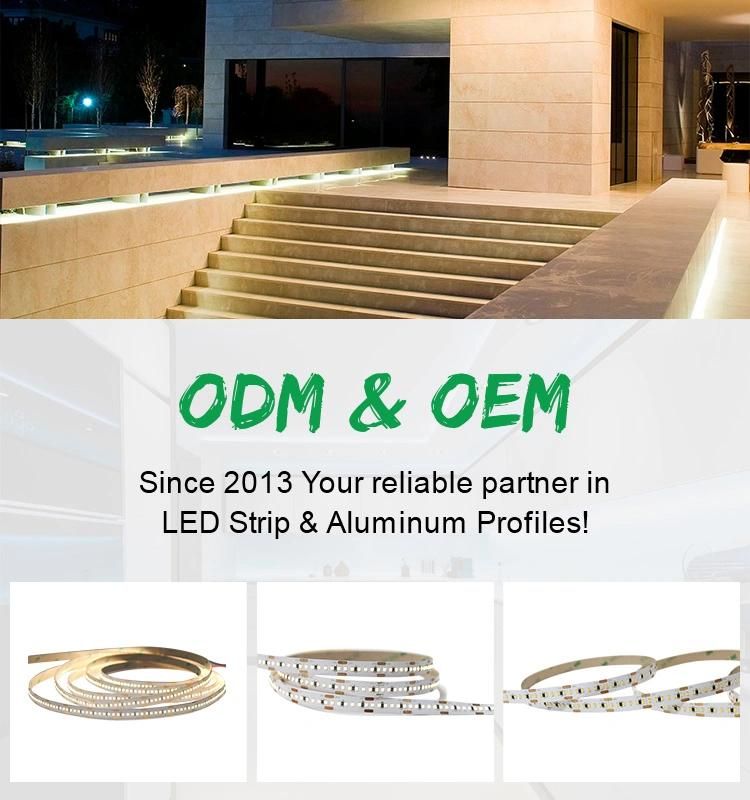 White 5000K DC 24V SMD 2216 LED Strip with CE RoHS