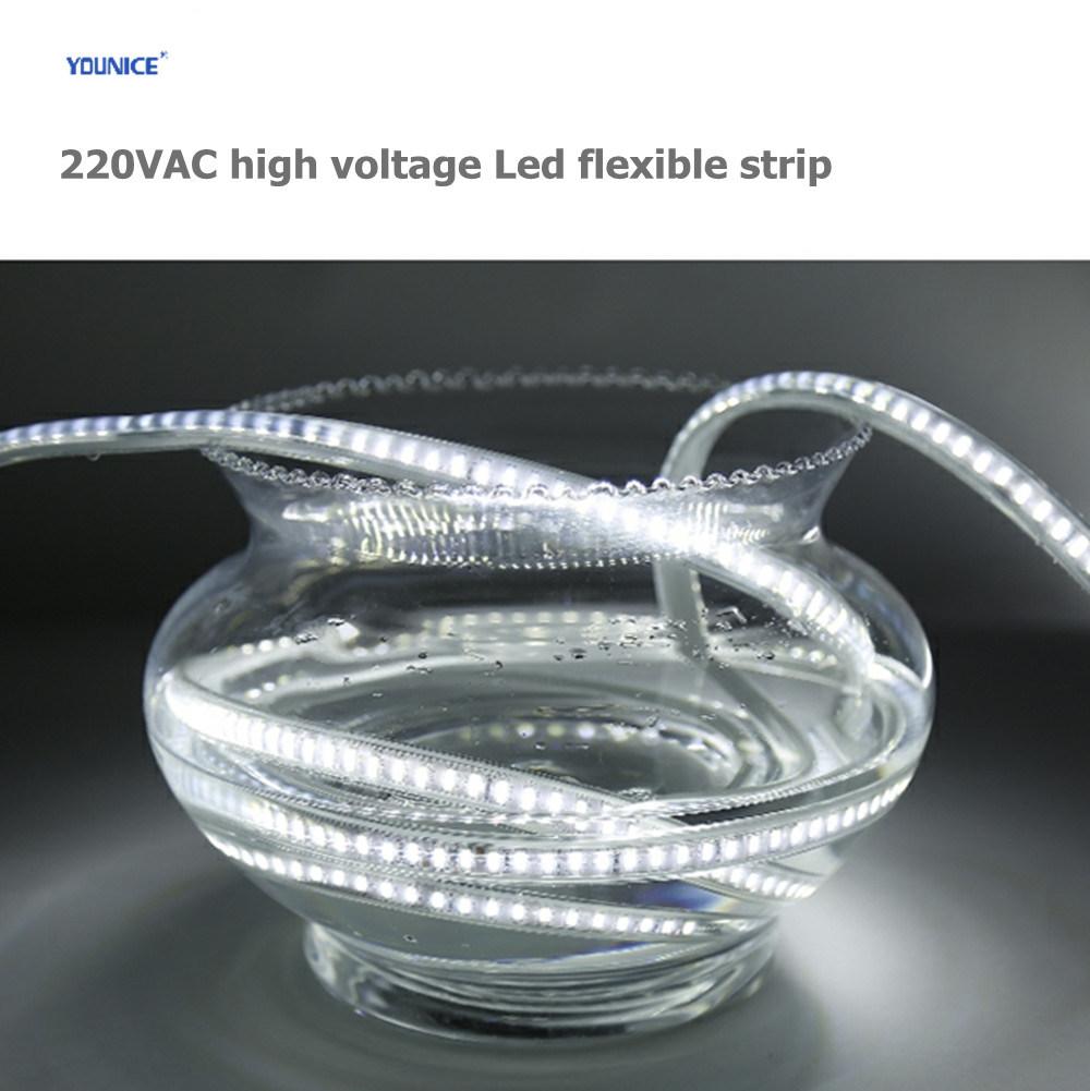 Single-Ended Power Supply IP67 Waterproof 50 Meters 220V High Voltage LED Strip