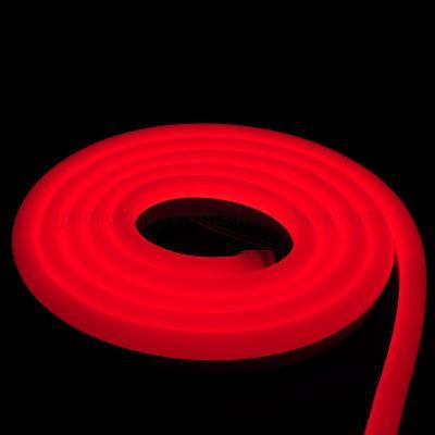 Big Size Neon Strip 120LED 10W Ra80 LED Strip DC24 LED Light