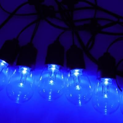 Ome Customized Remote Control RGB Color S14 Outdoor Decorative LED Sting Lighting