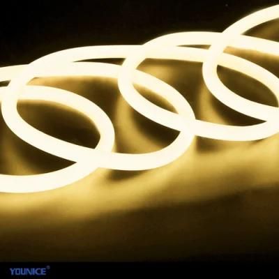 Factory High Quality Full Illuminatin LED Silicone Tube LED Neon Strip