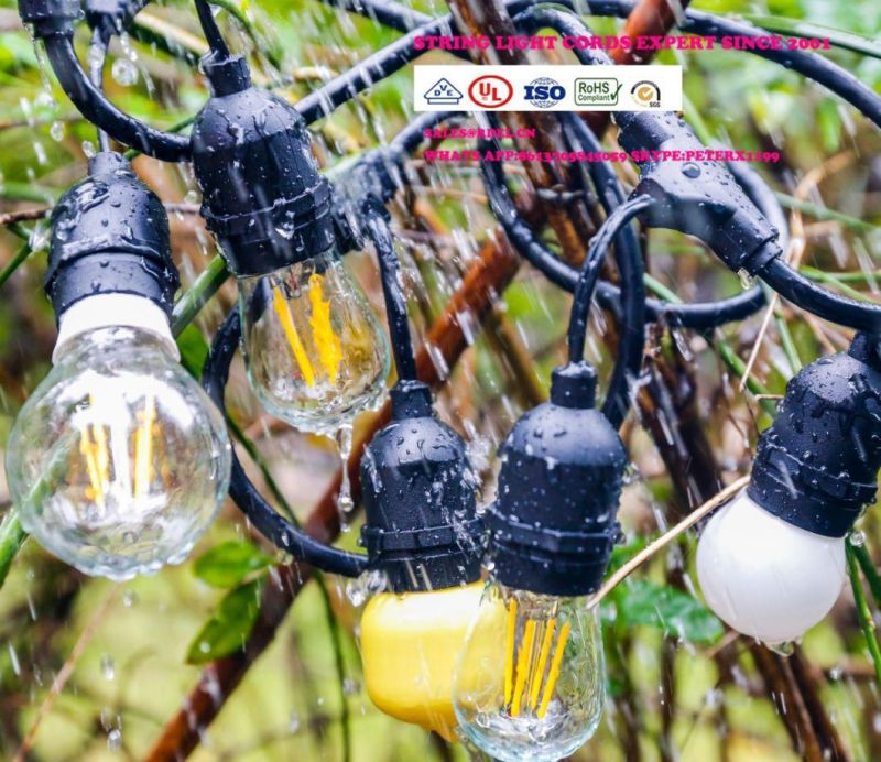 E27 Base Globe Commercial LED String Lights Outdoor Light Strands