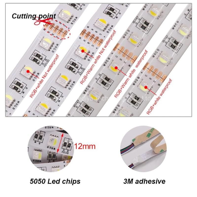 Waterproof IP65 4 Colors in 1 Chip 5050 RGBW Rgbww LED Strip Light