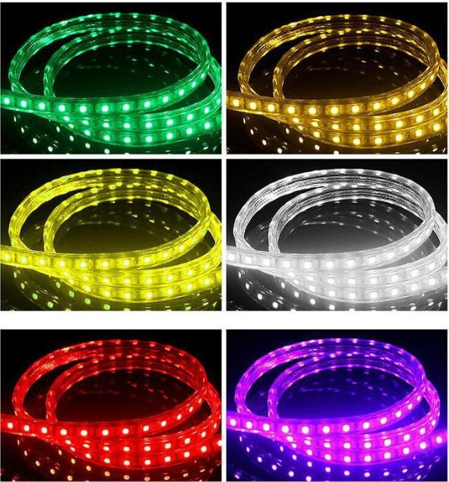 220V SMD5050 Waterproof Holiday Decoration Light LED Rope