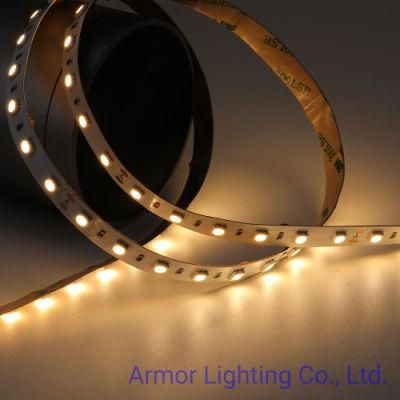 Manufactor Direct Sell SMD LED Strip Light 5050 60LEDs/M DC24V for Home/Office/Building