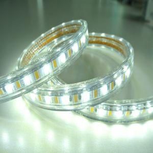 5630 Ceiling Rope Light Ww+W LED Strip Light