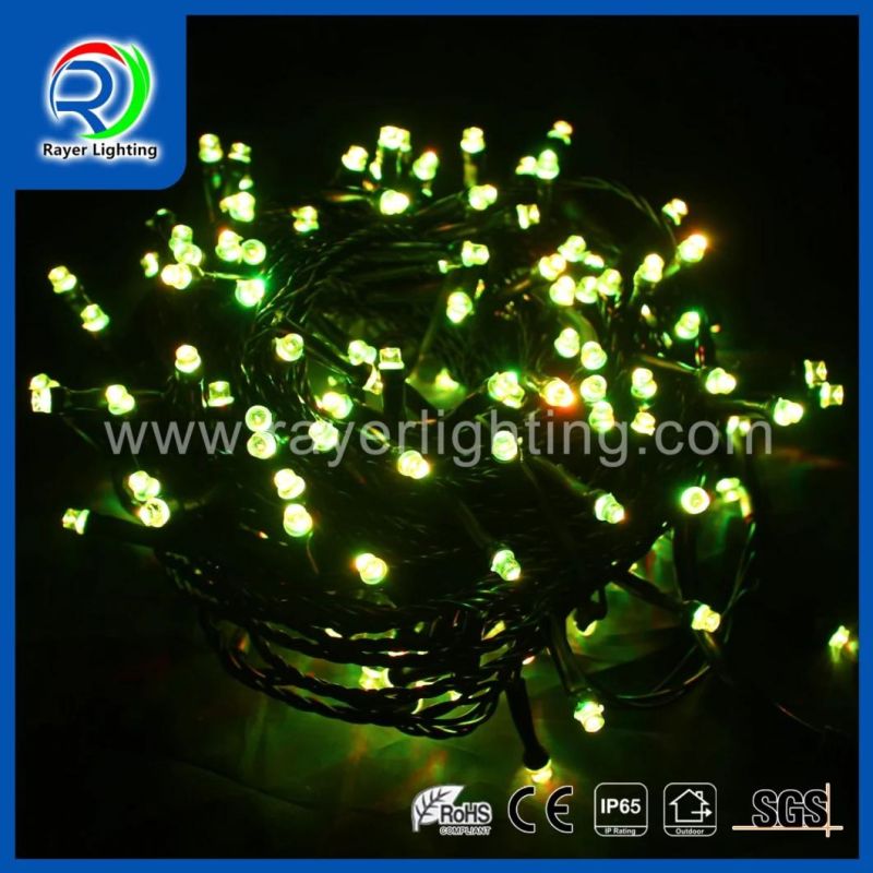 Christmas Holiday Light LED String 12V LED Decorative Outdoor Lighting