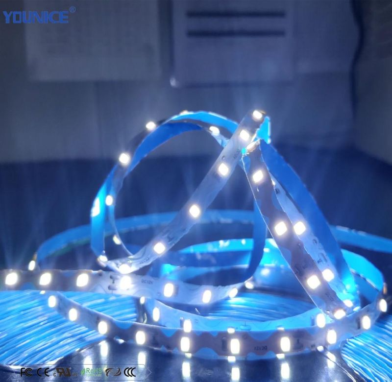 5.4W DC12V Super Long Welding Free S-Type SMD2835 LED Flexible Strip for Minicharacters