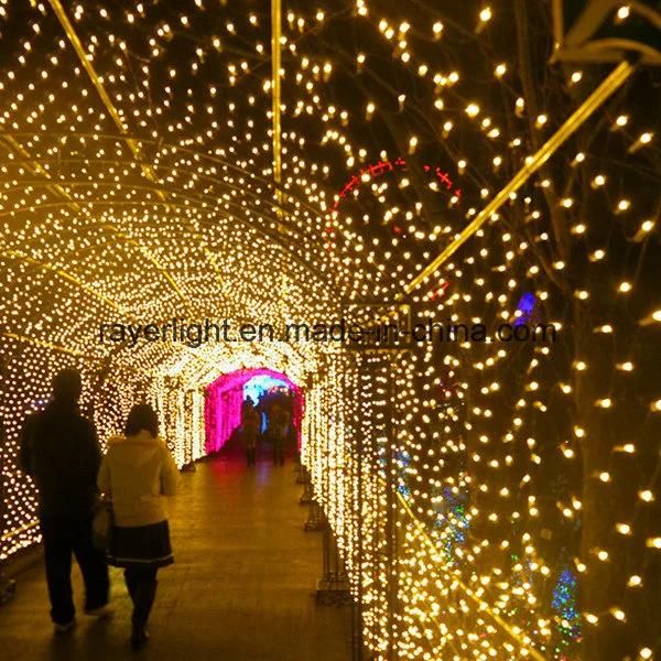 Ledwedding Lights Holiday Party Decoration LED Lighting Mesh Lights