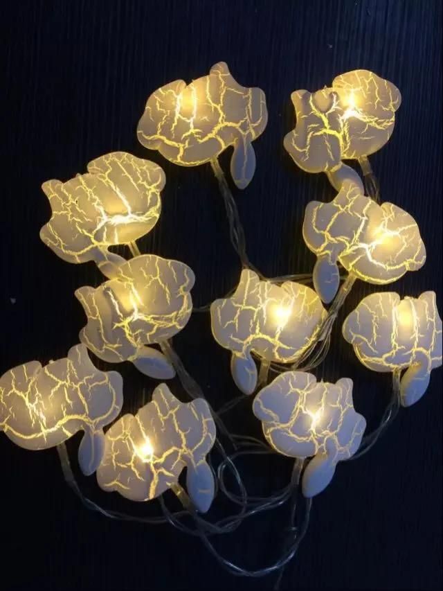 LED String Lights with Different Covers Star