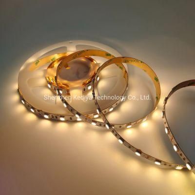 Shenzhen LED Light Strip LED Lighting 12V/24VDC 5050 Warm White LED Strip 5m RGB Colorful Lights