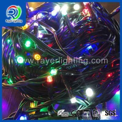 IP44\IP65 Unique Color Shopping Mall Flashing LED Christmas Lights with Controller