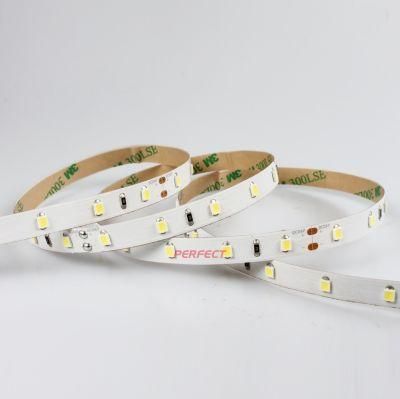 2021 Project Rope Light LED Strip Light SMD2835