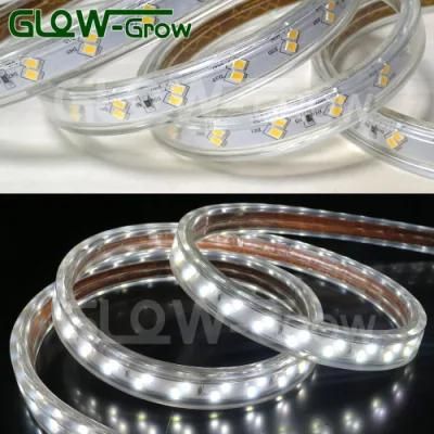 High Voltage Double Line IP65 Waterproof 120LEDs/M SMD 2835 4000K White LED Strip Lamp