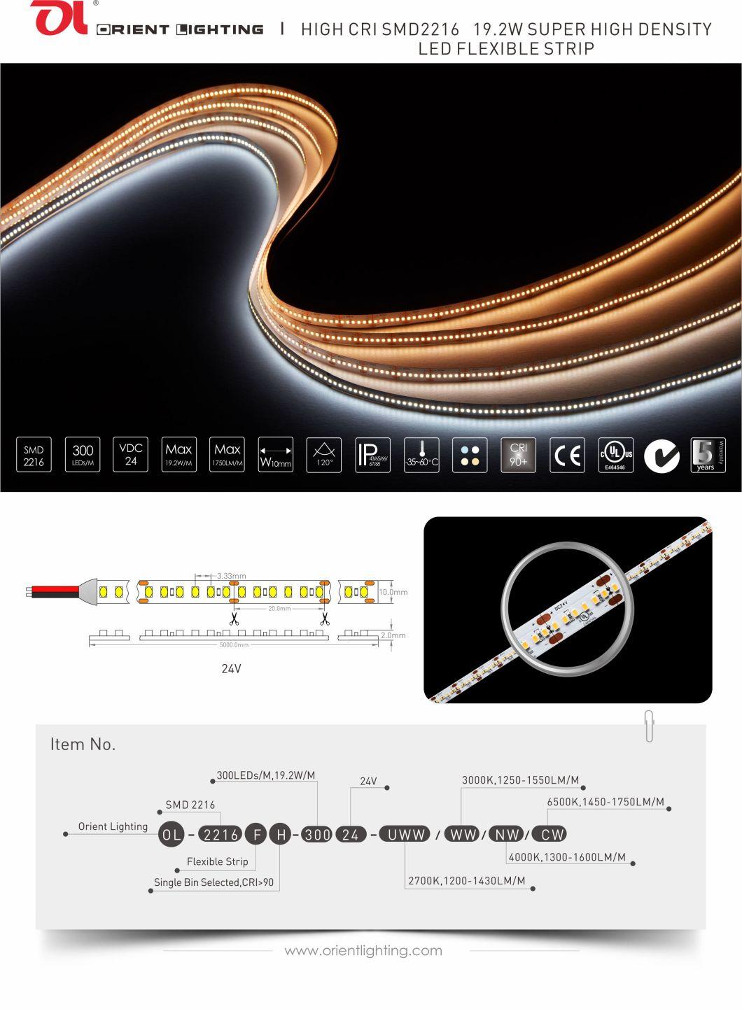 No Spot LED Strip Light 2216 SMD 300 LEDs/M