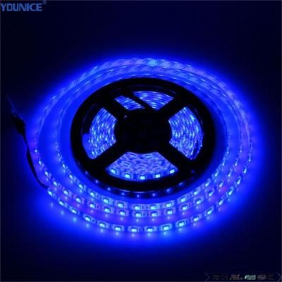 DC12V 10mm Width 12.5mm Cut 19.2W LED Flexible Rope Light Strip