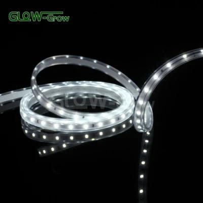 60LED/M 120V 5W/M LED Strip Light for Shopping Malls Decoration