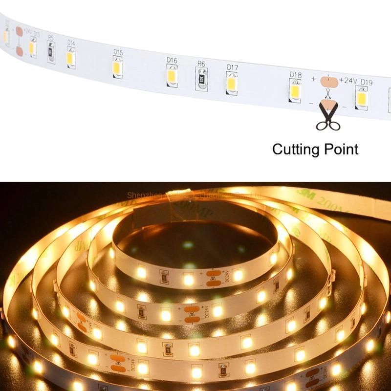 LED Lighting 12V/24VDC 2835 60 LED Strip 5m LED Strip Light