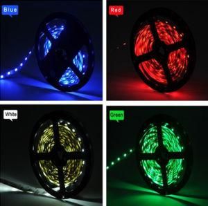 LED Strip Light 24V 12V Waterproof for Swimming Pool Decoration