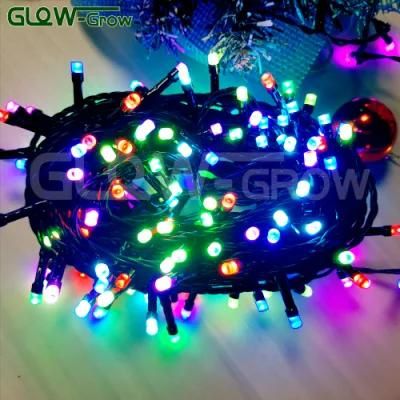 12 Modes RGB Color Changing Christmas LED String Light Fairy Light with Tuya Smart for Home Diwail Easter Wedding Decoration