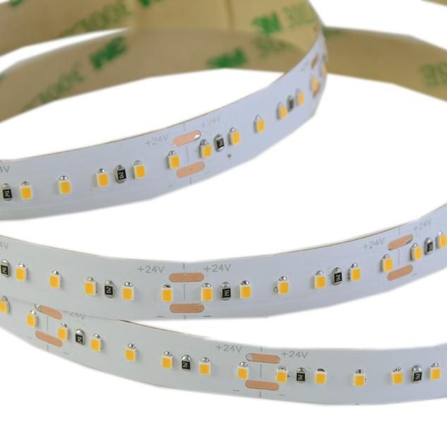 SMD2216 180LEDs/m DC24V 10mm LED strips