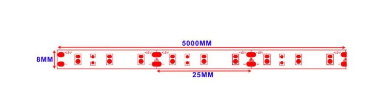 CCT Waterproof Flexible LED Light Strip SMD2835 120LEDs/M 16W for Indoor/Outdoor Light