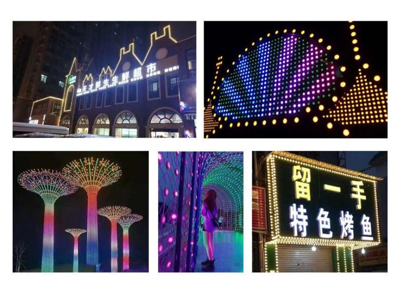 Customization Waterproof RGBW LED Pixel Point Lamp Facade Light