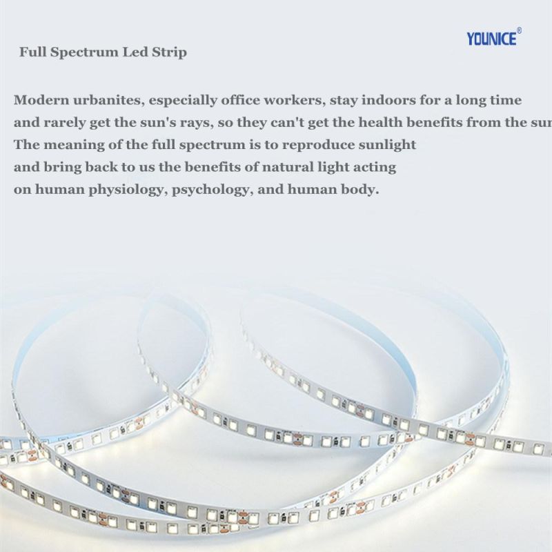 Eye Comfort Full Spectrum LED Strip for Plant Lighting