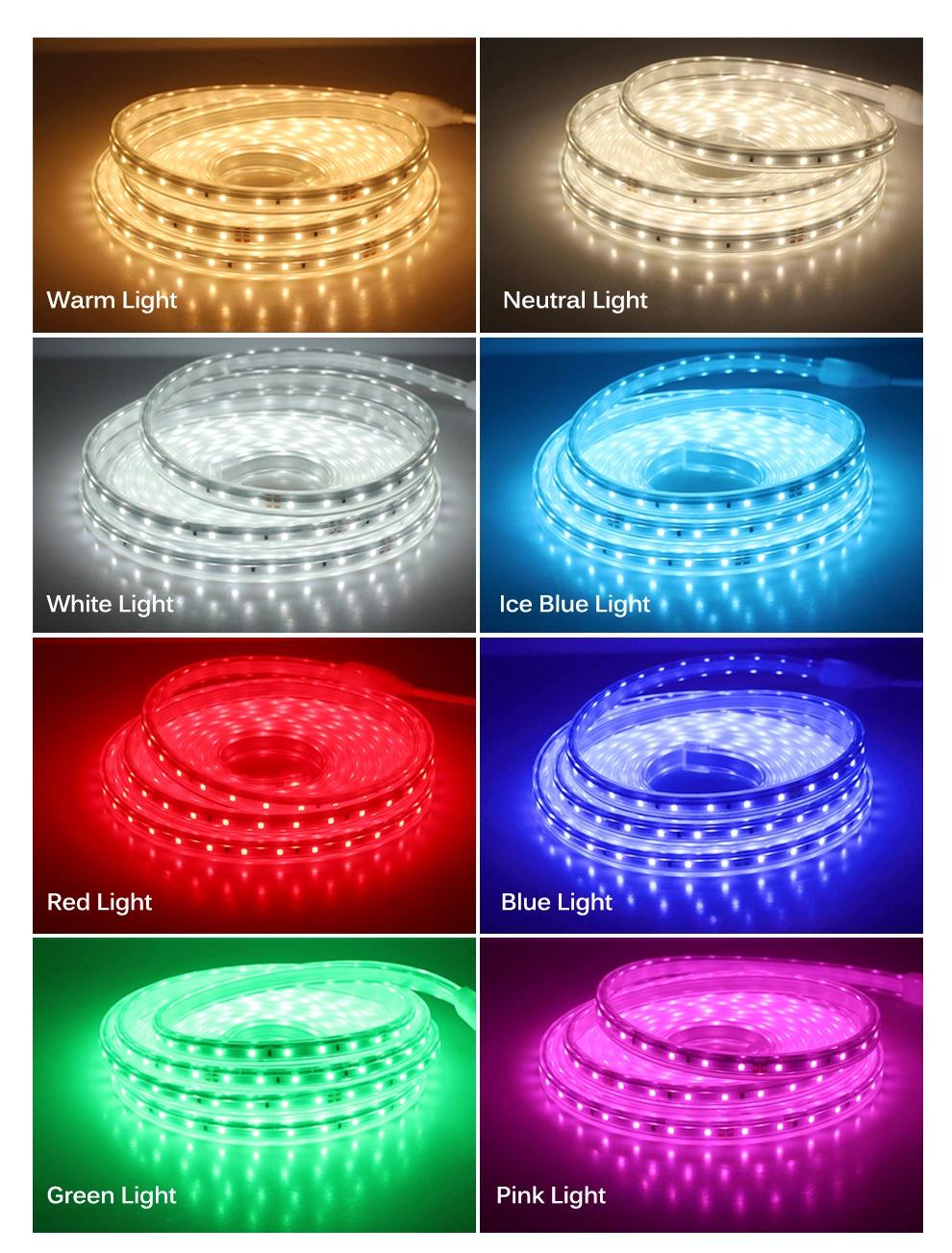 Alva / OEM 8mm 10mm 12mm High Glossy Strip Light Hot Sale