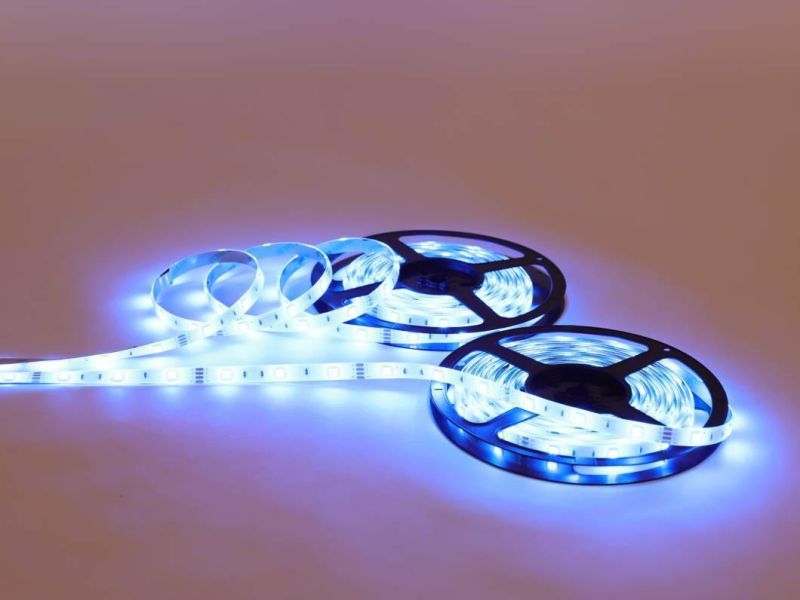 12V/24V Low Voltage RGB LED Strip SMD5050