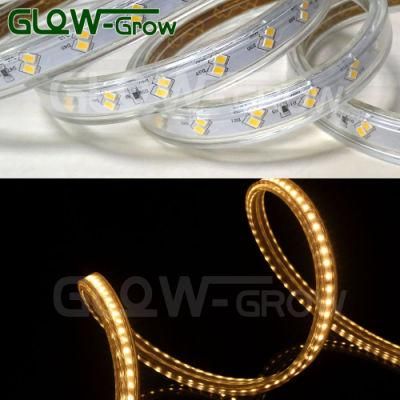 Ra 80+ SMD2835 60*2LEDs 120LEDs/M Flexible Strip for Home Decoration