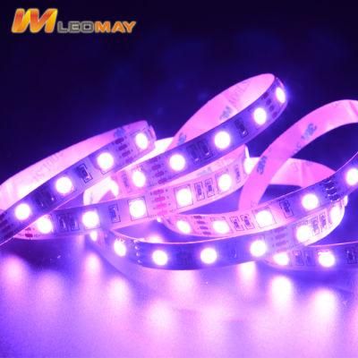 Top5 LED strip manufacture 5050 60LEDs RGB LED strip.