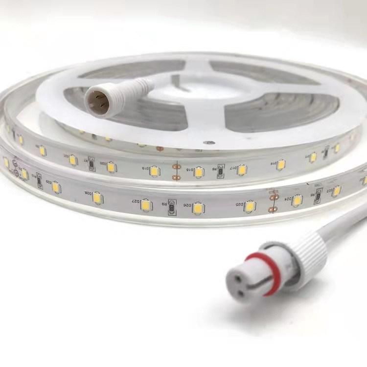 Single Color White LED Lighting DC 24V Flexible Waterproof COB LED Strip Light