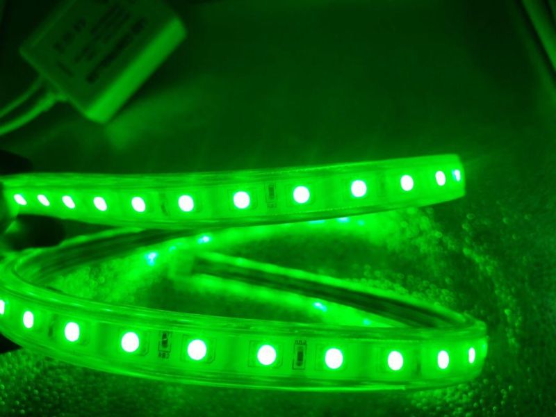 220V 110V 5050 5m Multicolor Flexible Roll Outdoor Waterproof RGB LED Christmas Light