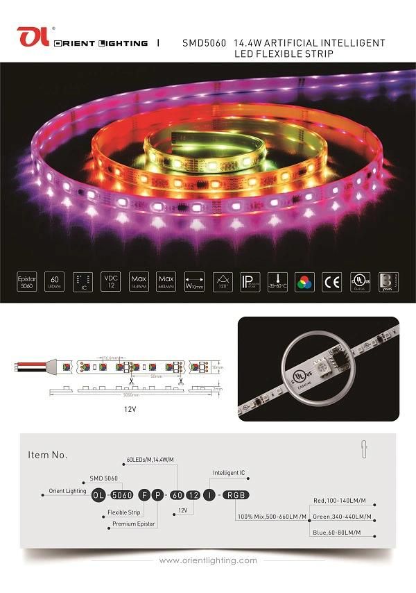 UL Ce Approved RGB 12V 60 LED Chasing LED Strip Pixel Lighting