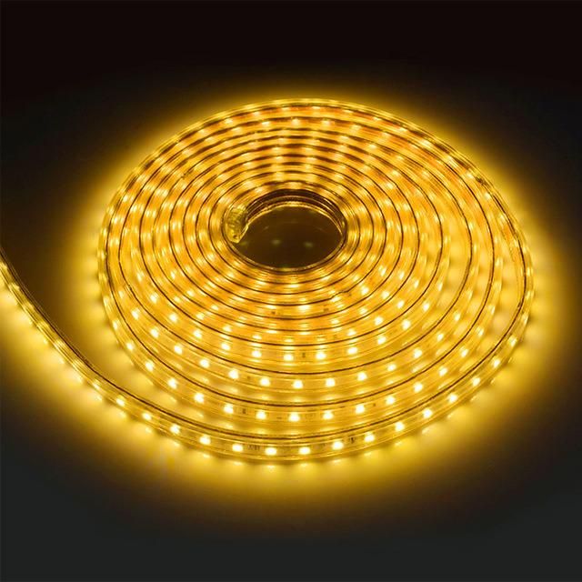 5050 60LED/M 220V 22W LED High Voltage Flexible Strip