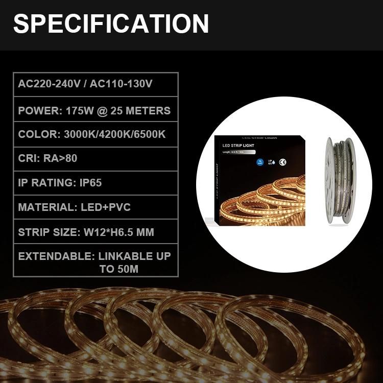 220V 230V Strip LED 25 Meters 82 FT Length 2835 Warm White Cool White Ce RoHS