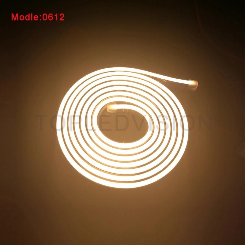 Mini 6mm 8mm 12mm Flexible Neon LED Strip 0612 IP67